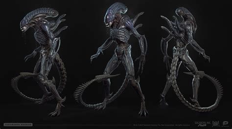 Stanislav Ostrikov - Xenomorph warrior