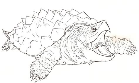 Snapping Dragon Turtle outline by Fachhillis on DeviantArt