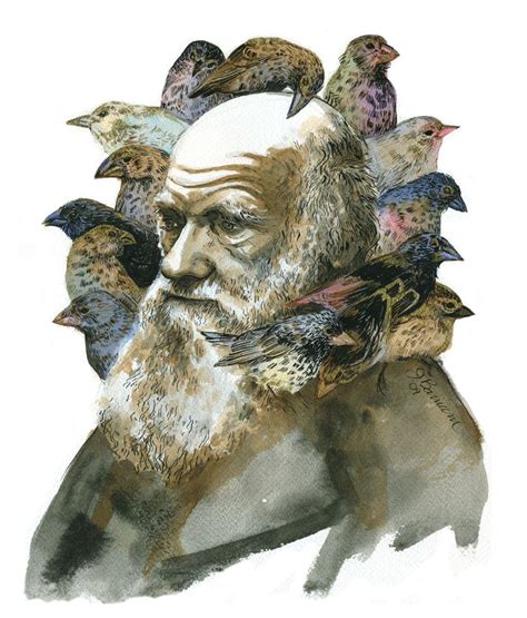 darwin finches | Charles darwin, Science tattoo, Ink illustrations