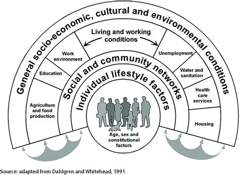 2: Dahlgren and Whitehead's Determinants of Health Model (1991) | Download Scientific Diagram