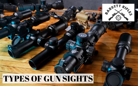 Types of Gun Sights: The Most Common & Right One For You