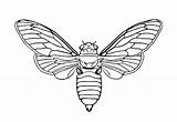 Printable Moth Coloring Pages Free For Kids And Adults sketch template