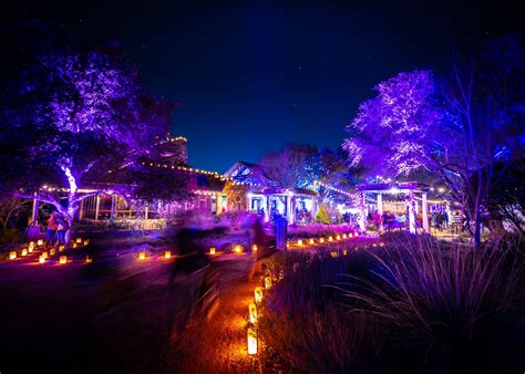 Luminations At The Wildflower Center - 365 Things Austin