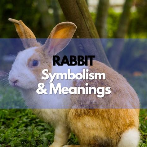 Rabbit: Rabbit symbolism and meanings - Symbol Genie