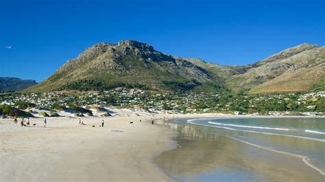 Hout Bay Beach in Cape Town, | Expedia.ca