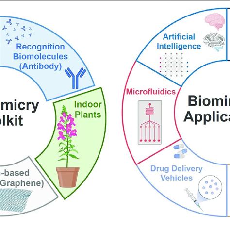 | Biomimicry: tools and applications (Created with Biorender.com ...