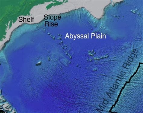 Abyssal Plains that aren’t so plain. Abyssal...