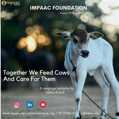 Donate For Gaushalas → Impaac blog