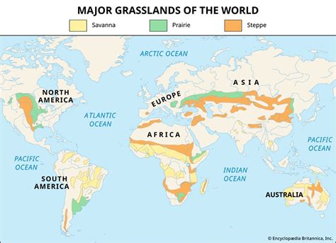 Temperate Grassland Map