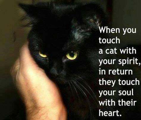 Inspirational Black Cat Quotes that Capture the Mystery and Charm