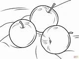 Three Apples coloring Page  Free Printable Coloring Pages sketch template
