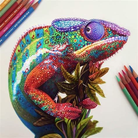 Caméléon by Morgan Davidson | Color pencil drawing, Color pencil art, Realistic pencil drawings