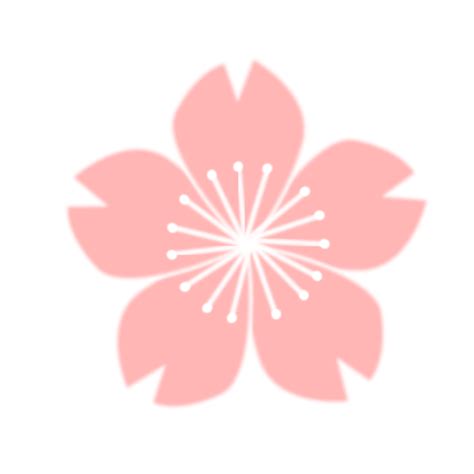 Sakura Flower Drawing | Free download on ClipArtMag