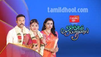 Vijay TV Serials • Watch Vijay TV Serials Online • TamilDhool | Visiting england, Tourist ...