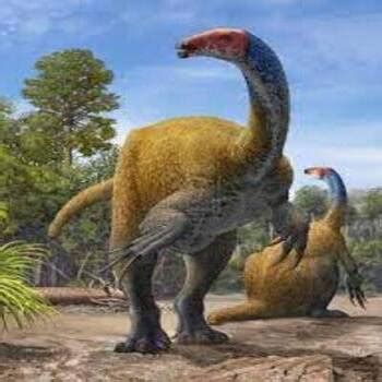 Erlikosaurus dinosaurs , facts | pictures -Erlikosaurus habitat.