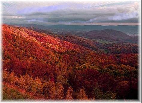 Soapsmith's Blog: Glorious Allegheny Mountains