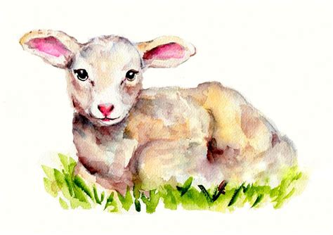 Lamb Watercolor | Watercolor art prints, Animal wall art nursery, Sheep art