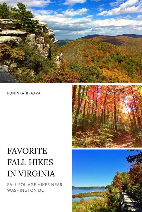 16 Fantastic Fall Hikes in Northern Virginia - Fun in Fairfax VA