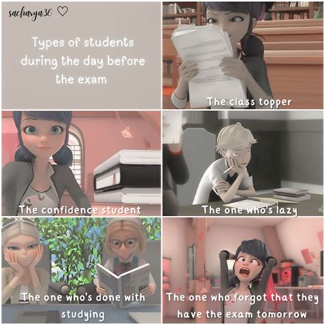 :: 𝗦𝗮𝗰𝗵𝗮𝗿𝘆𝗮 *.: — Miraculous Ladybug - SEASON 5 | Villains