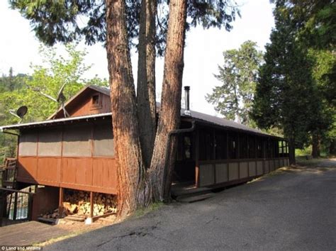 Tiller, Oregon entire town on sale for just $3.85 million | Daily Mail Online