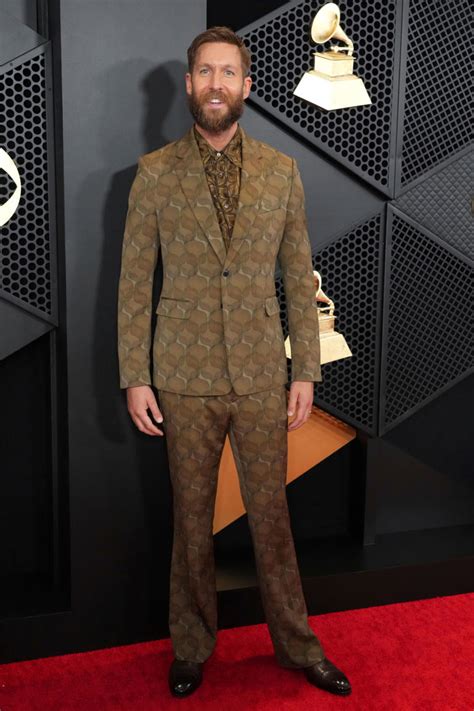 Grammy Awards 2024: From Ed Sheeran to Calvin Harris, best-dressed men on the red carpet who ...