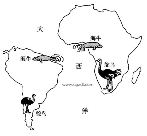 海牛驼鸟在非洲和南美洲的分布_世界地理地图_初高中地理网