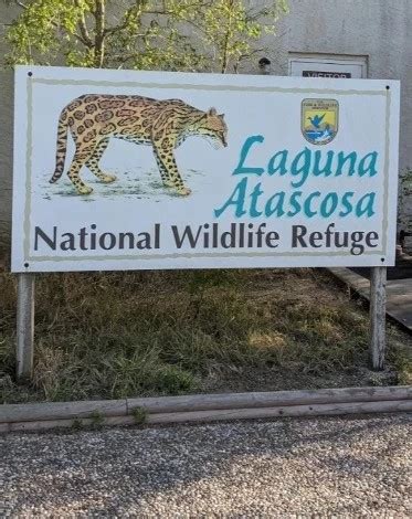 Laguna Atascosa Wildlife Refuge - Go Wandering