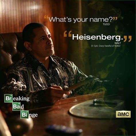 " Tuco Salamanca " | Breaking bad quotes, Breaking bad, Walking bad