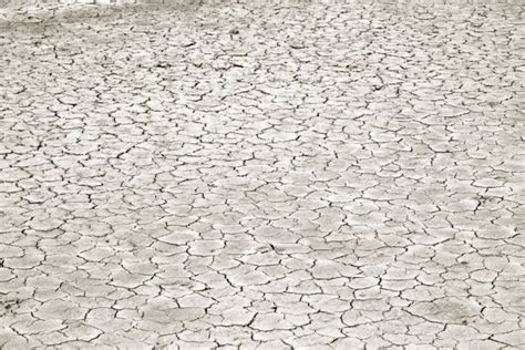 90+ Desert Erosion Surface Cracked Dry Land Close Stock Photos ...