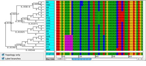 mutations in dna sequence