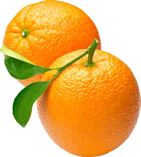 Two Oranges transparent PNG - StickPNG | Fruit, Orange, Orange fruit