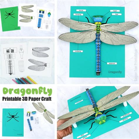 3D paper dragonfly - The Craft Train