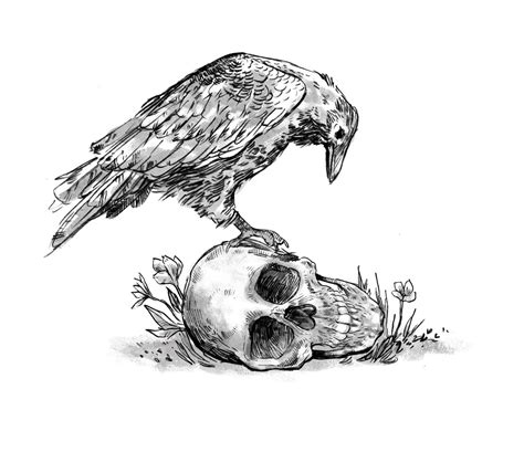 Crow on Skull - Natascha Johnson's Art