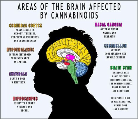 And some more on Marijuana | Blog Post from Drug Class