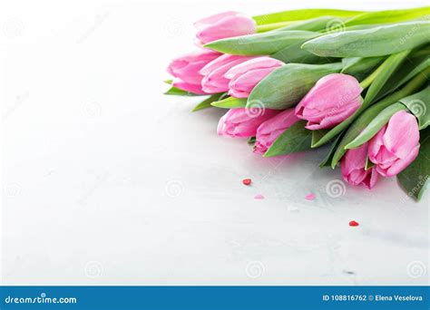 Pink Tulips for Valentines Day Stock Photo - Image of heart, natural: 108816762