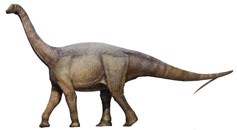 Lirainosaurus Pictures & Facts - The Dinosaur Database