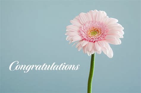 Congratulations: Congratulations Flower