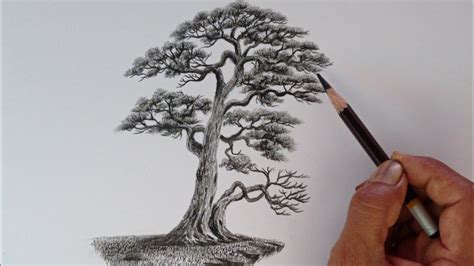 Chinese Tree Drawing