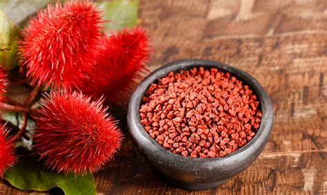 Incredible Benefits Of Annatto Seeds | Pragativadi | Odisha News ...