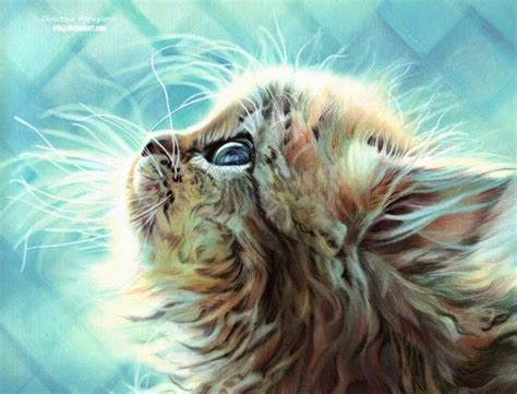 20+ Beautiful Realistic Cat Drawings To inspire you