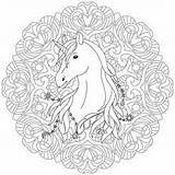 Unicorn In Flowers Round coloring Royalty Free Vector Image sketch template