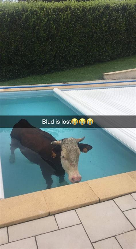 Blud is Lost | Blud | Know Your Meme