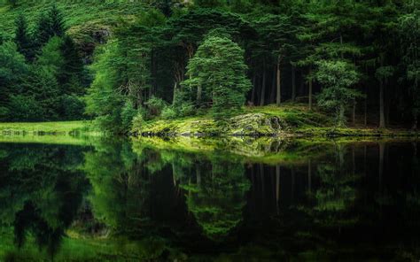 nature, Landscape, Water, Lake, Forest, Grass, Hill, Spring, Reflection, Green, Trees Wallpapers ...