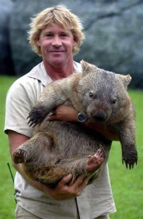 Steve Irwin | Steve irwin, Wombat, Cute animals