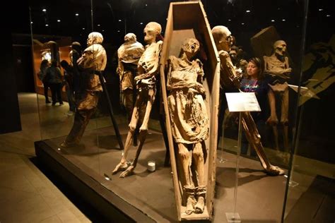 The Mummy Museum in Guanajuato - Museo de las Momias | Mummy museum, 18th century paintings ...