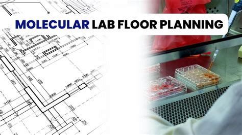 Molecular Laboratory Floor Plan & Equipment Needed