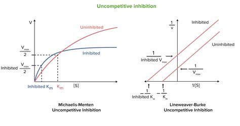 Why is reaction velocity initially greater in uncompetitive inhibition ...