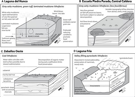 Schematic block diagrams of depositional environments interpreted in ...