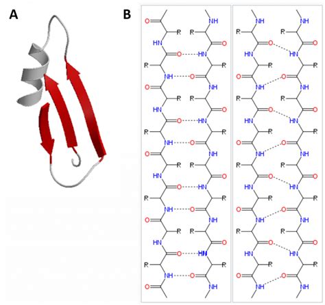 Chapter 2: Protein Structure – Chemistry