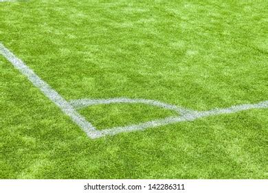 Soccer Field Grass Stock Photo 142286311 | Shutterstock